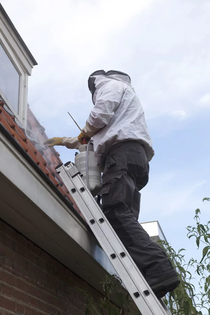A man on a ladder painting the roof of a house.