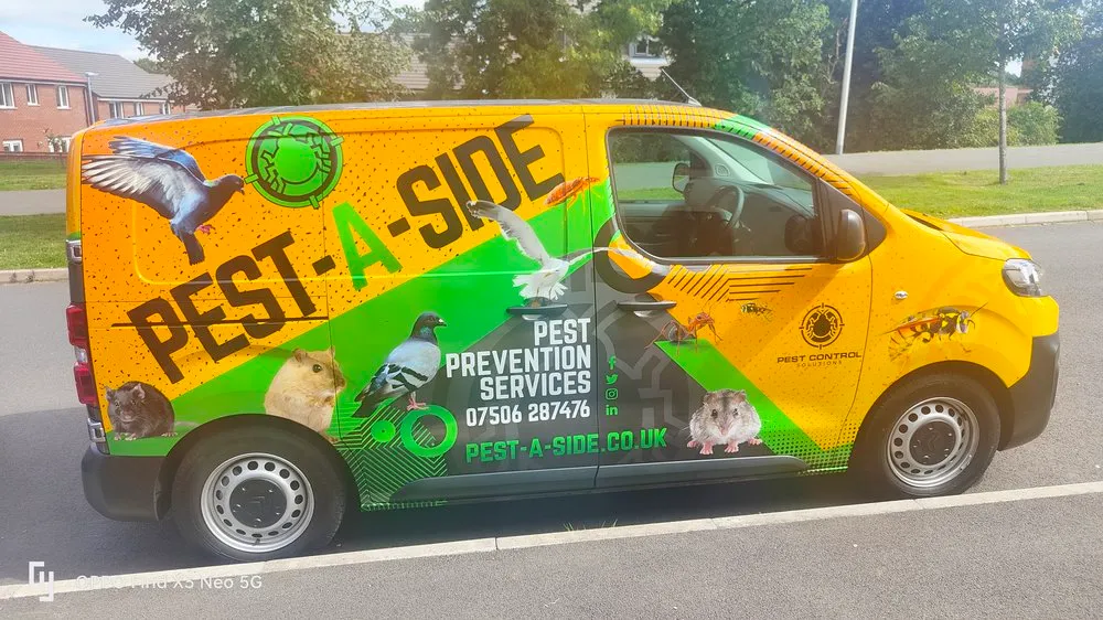 A yellow and green van parked on the side of the road.